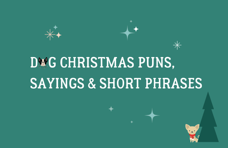 Dog Christmas Puns & Phrases