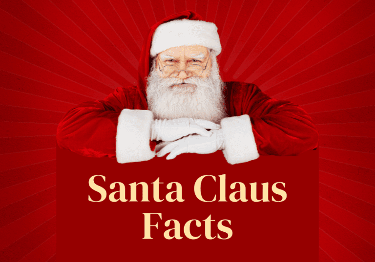 Santa Facts